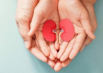 Minuman-Sehat-untuk-Ginjal